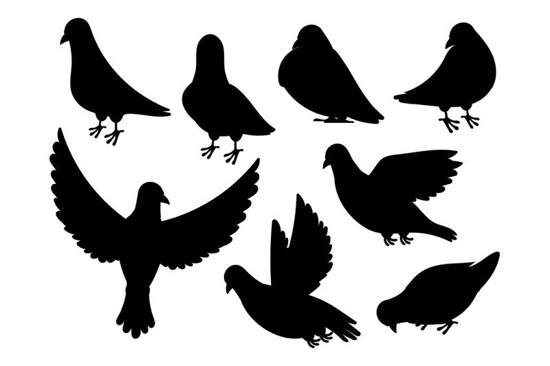 pigeon-silhouette-black-flying-standing-bird-dove-silhouette-isolate