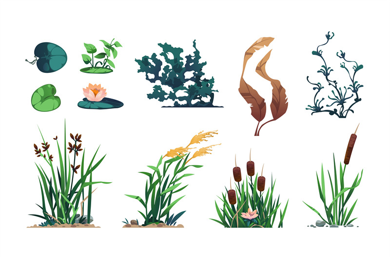 lake-plants-pond-flora-and-swamp-botany-game-asset-with-reed-cattail