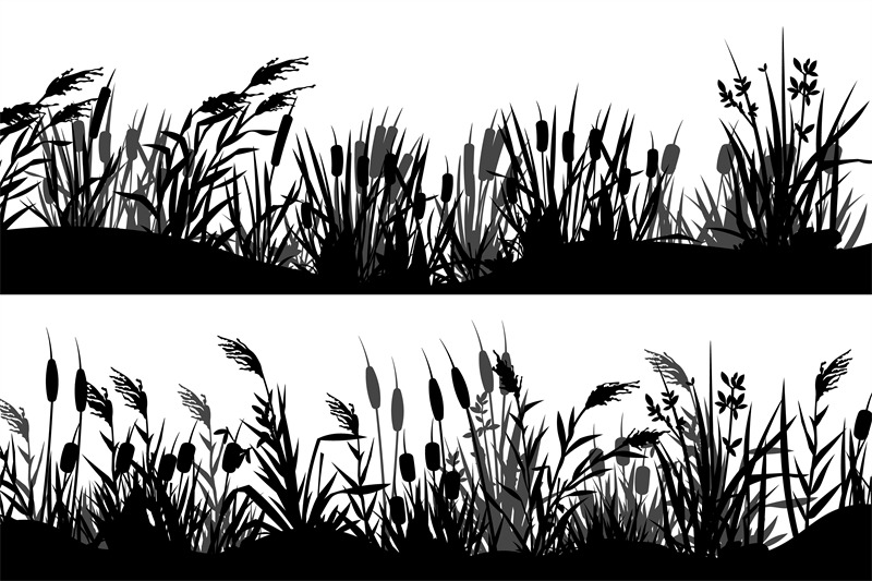 reed-silhouette-black-cattail-grass-strip-border-marsh-nature-vegeta