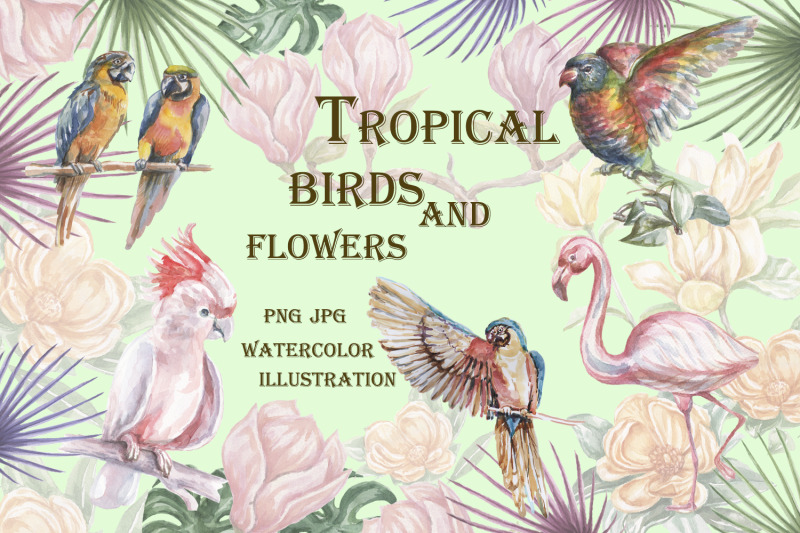 tropical-birds-and-flowers