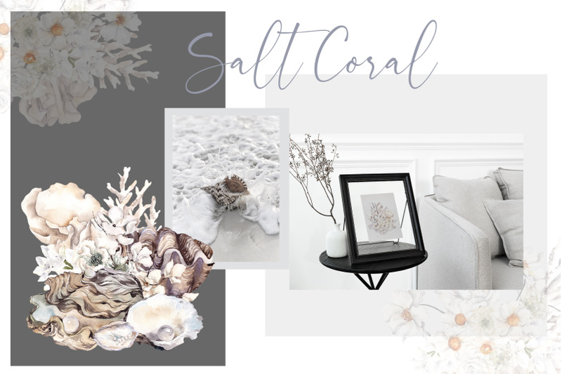 salt-coral-sea-shell-and-flowers