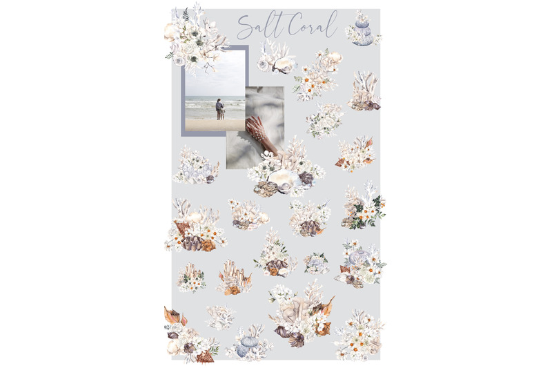 salt-coral-sea-shell-and-flowers