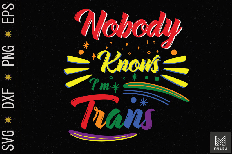 nobody-knows-i-039-m-trans-lgbt-pride