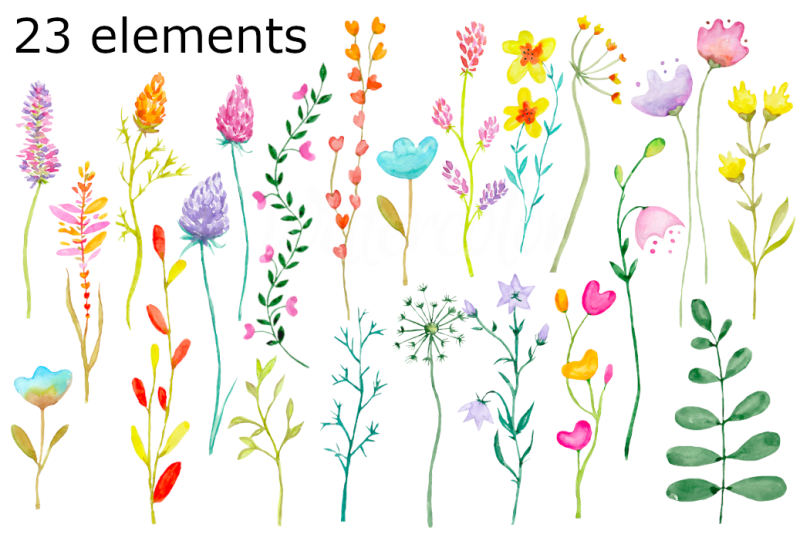 watercolor-wildflowers-clipart-meadow-flower-wild-botanical-summer