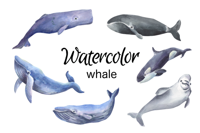 whale-watercolor-clip-art