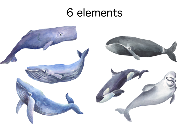 whale-watercolor-clip-art