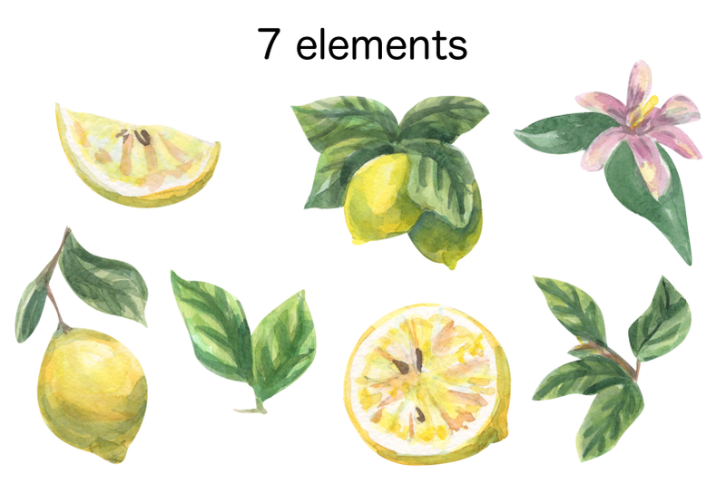 lemon-watercolor-clip-art