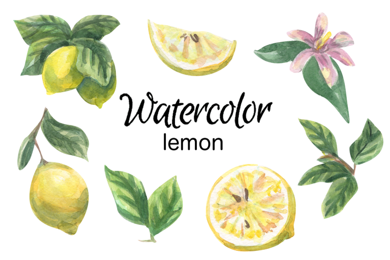 lemon-watercolor-clip-art