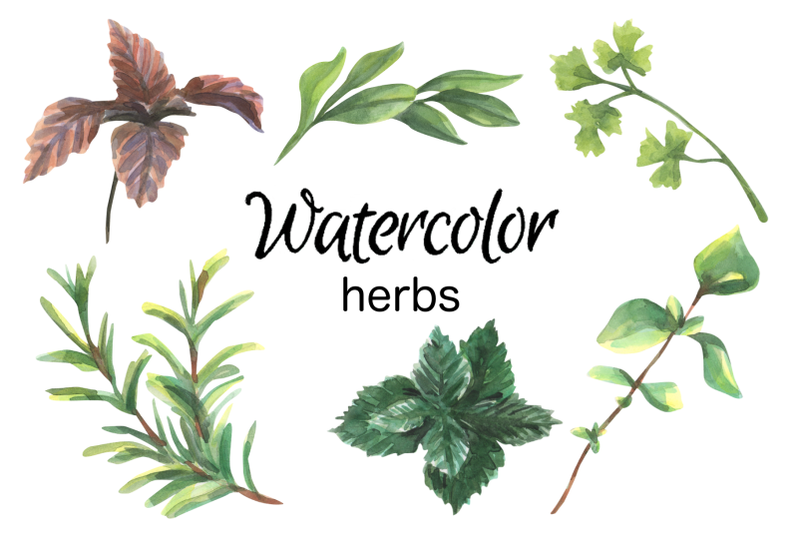 cooking-herbs-watercolor-clip-art