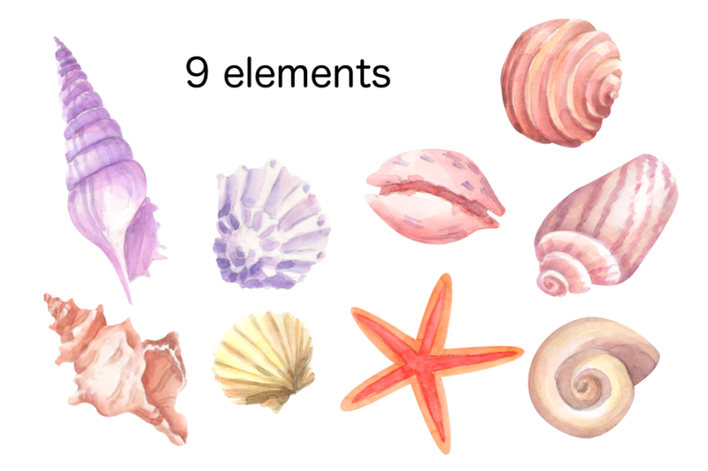 watercolor-seashell-clip-art