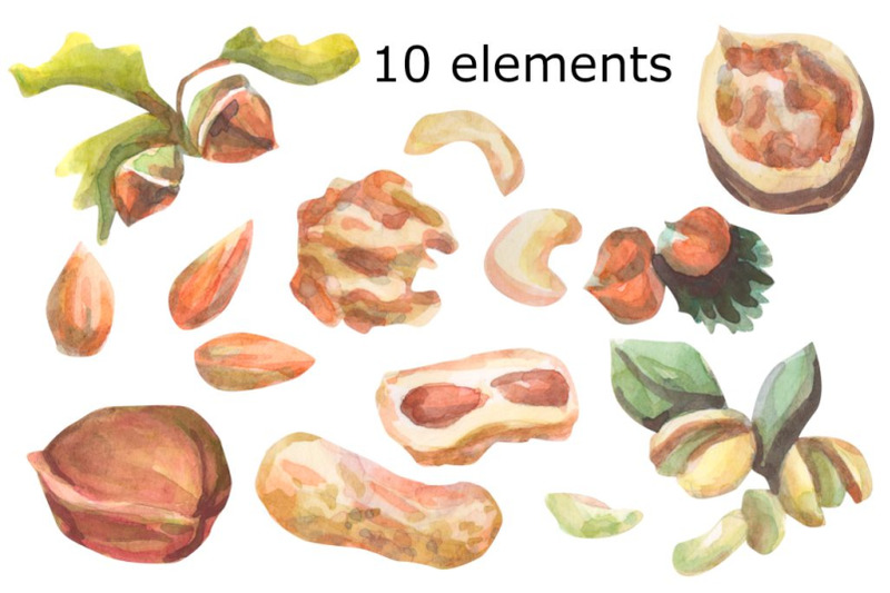 nuts-watercolor-clipart