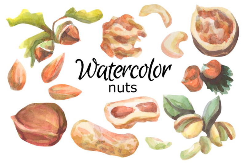 nuts-watercolor-clipart