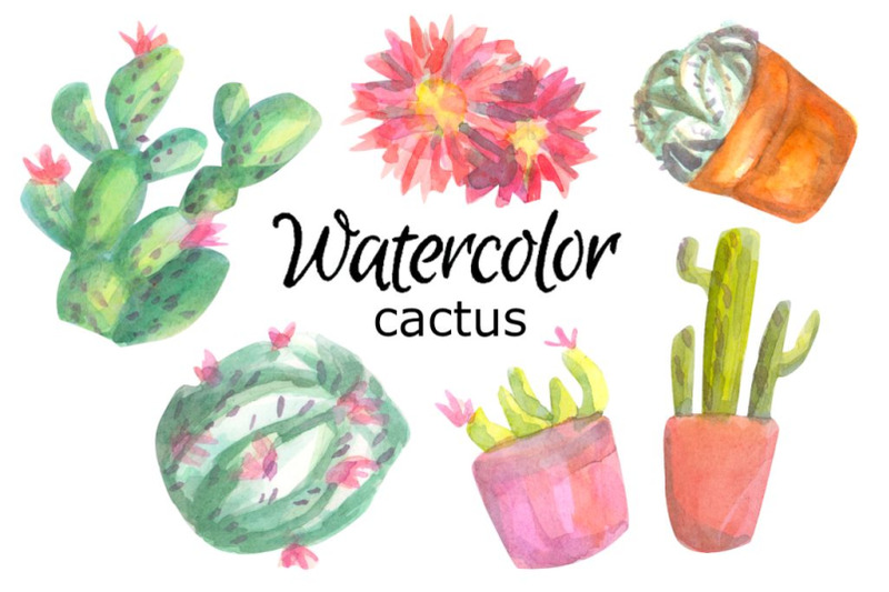 cactus-watercolor-clipart