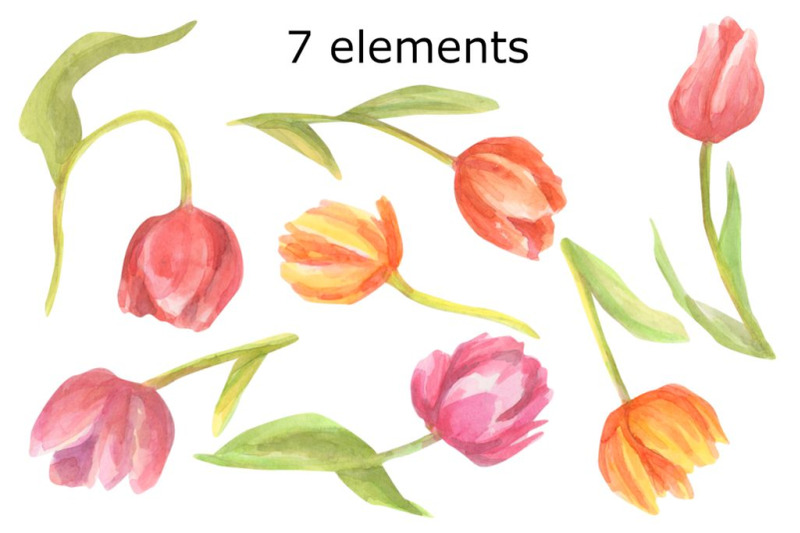 tulips-watercolor-clip-art