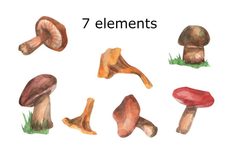 mushrooms-watercolor-clip-art