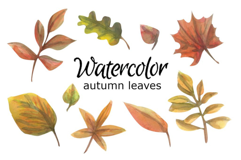 autumn-leaves-watercolor-clipart