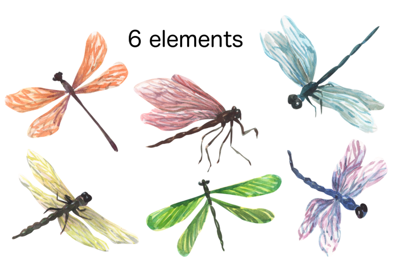 dragonfly-watercolor-clip-art