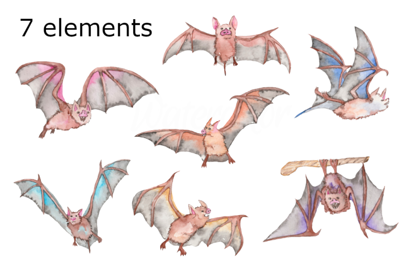 watercolor-bat-clipart