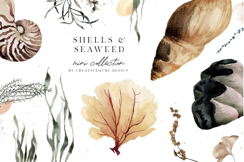 shells-amp-seaweed-watercolor-mini-collection