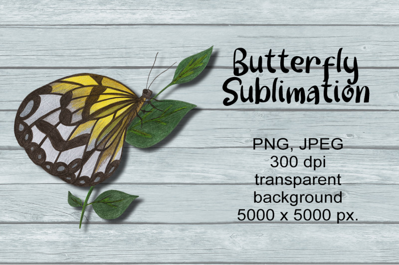 butterfly-sublimation-png-design