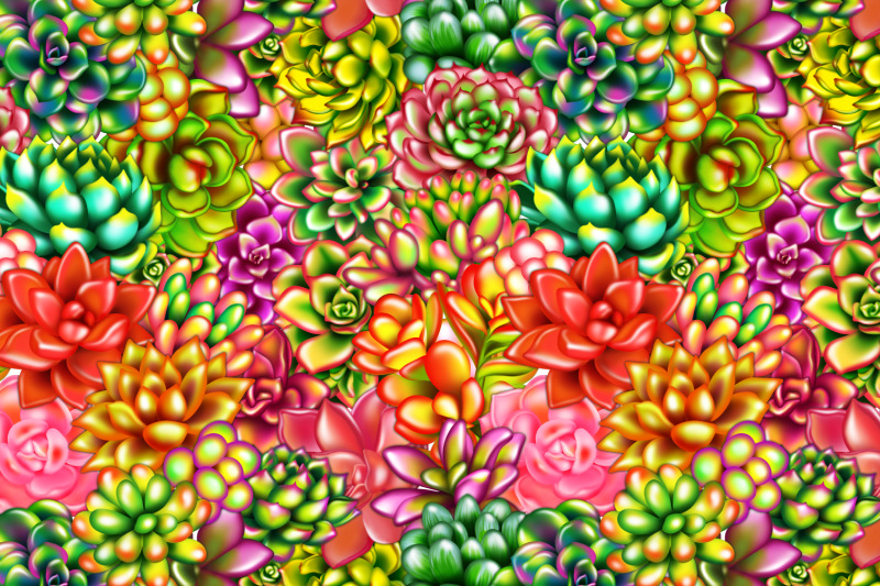 bright-juicy-succulents-two-summer-seamless-patterns