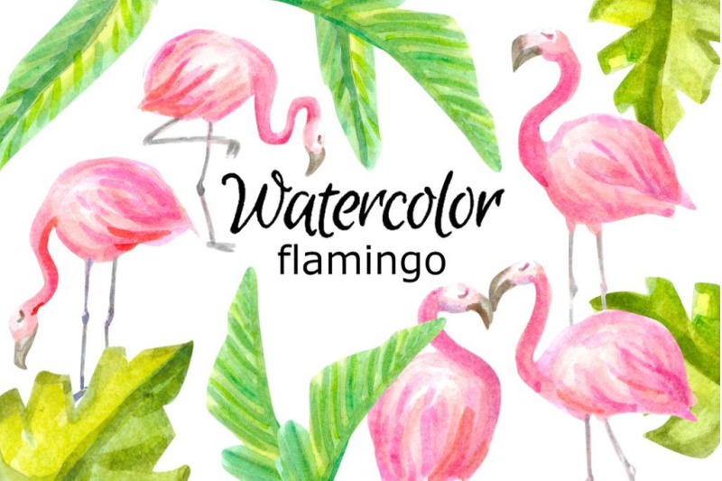 watercolor-flamingo-clipart