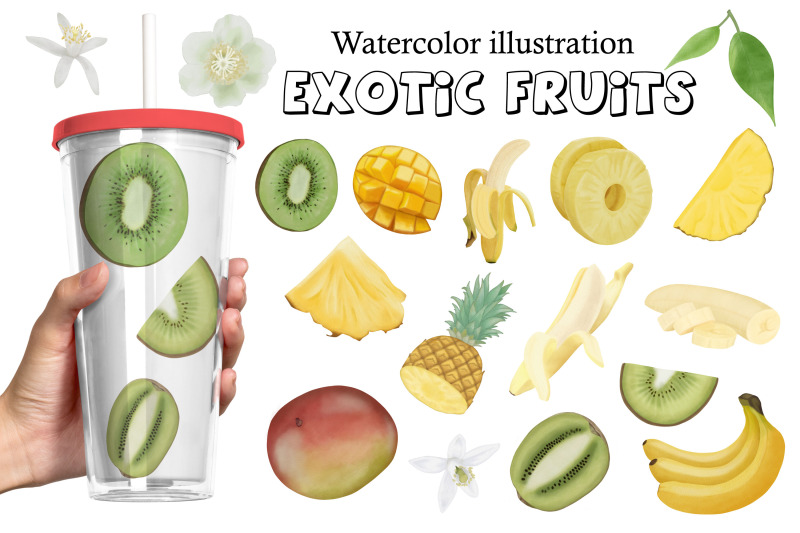 watercolor-illustration-exotic-fruits-png-sublimation-summer
