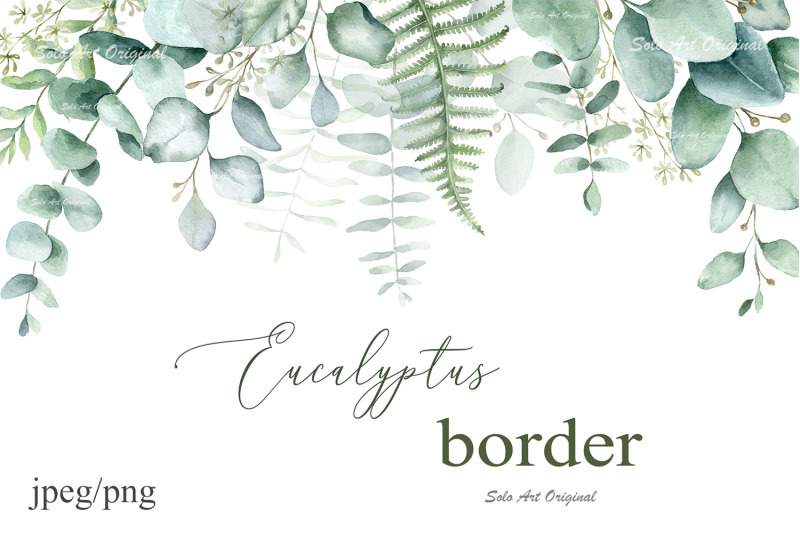 eucalyptus-botanical-watercolor-border
