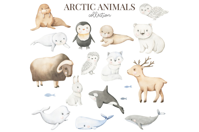 arctic-animals-watercolor-set