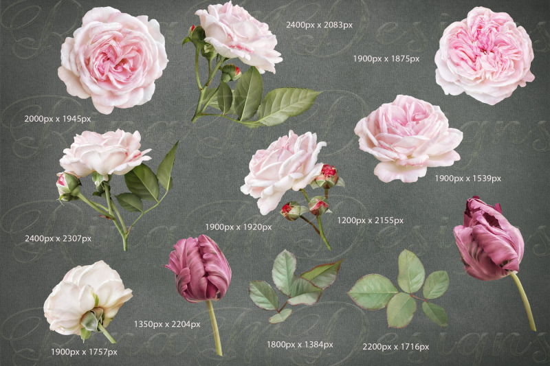 pink-roses-and-tulips-clipart-garden-flowers-bouquets-png