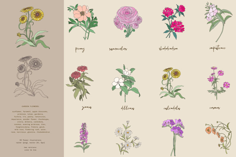 garden-flower-graphic-and-patterns