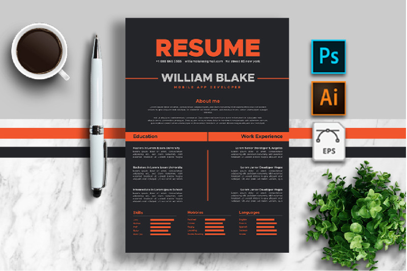 cv-resume-template-for-developer