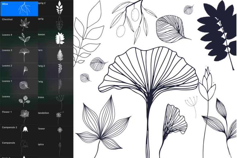 botanical-procreate-brush-floral-ipad-stamps-tattoo-stamp