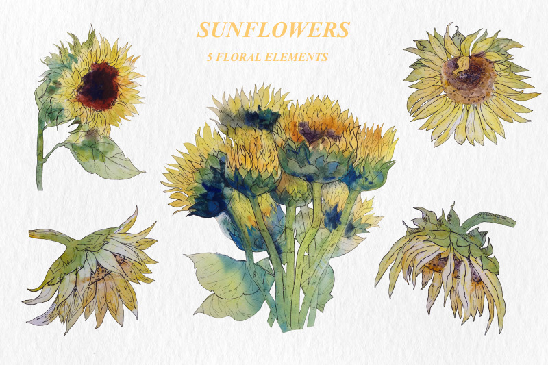 sunflowers-summer-collection-in-watercolor