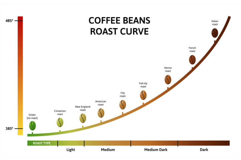 coffee-roasting-levels-roast-curve-optimal-temperature-for-roasting