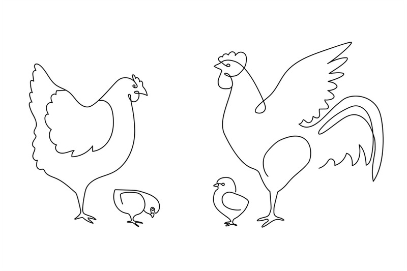 one-line-chicken-family-rooster-hen-and-chickens-farm-birds-continu