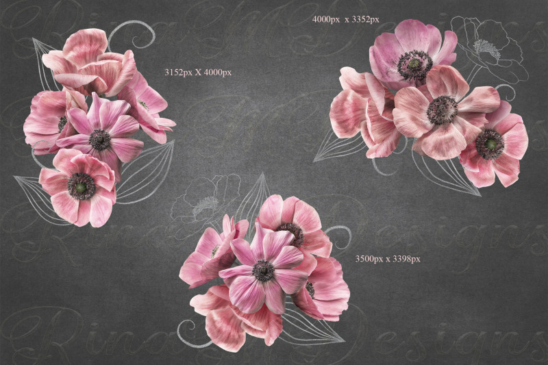 anemones-clipart-pink-flowers-bouquets-png