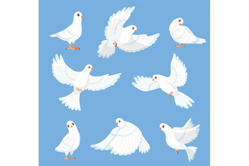 cartoon-white-dove-peace-and-freedom-symbol-pigeon-different-poses