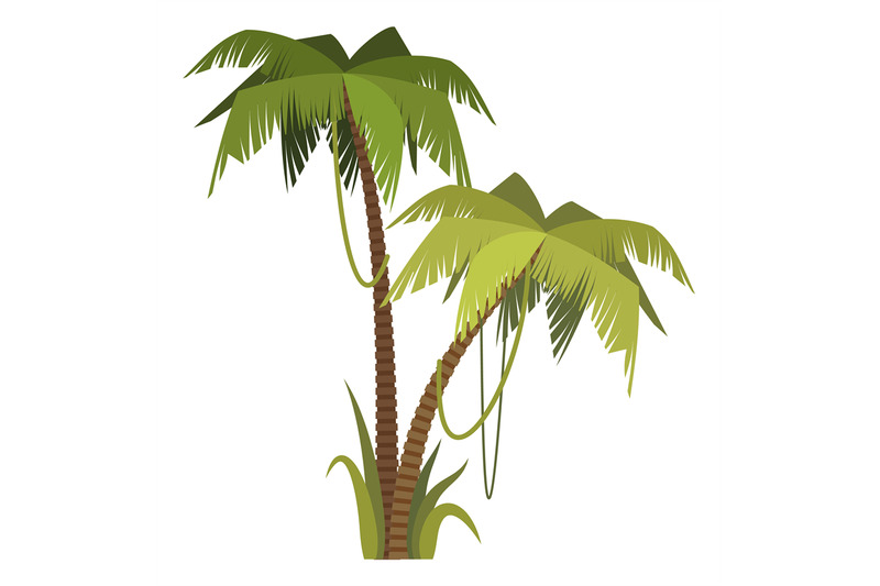 exotic-tropical-beach-greenery-cartoon-palm-tree