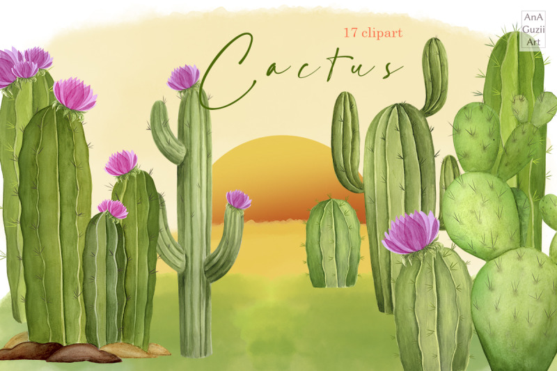 watercolor-cactus-succulent-clipart