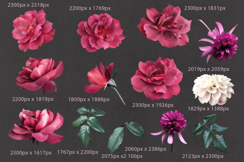 red-roses-clipart-floral-arrangements-png