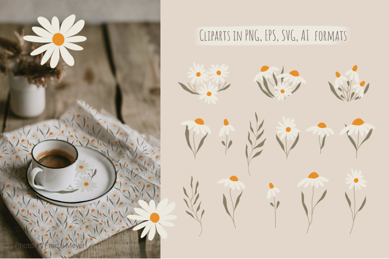 daisy-flowers-set-wildflower-cliparts-and-seamless-patterns