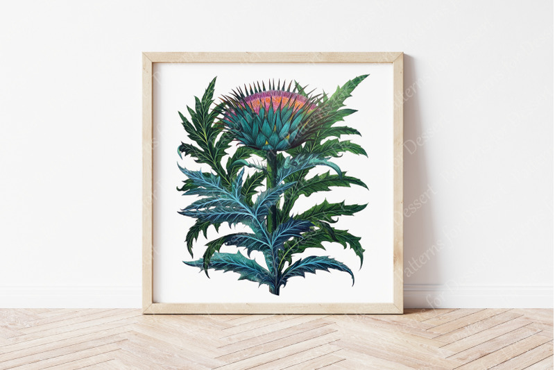 watercolor-artichoke-thistle-plant