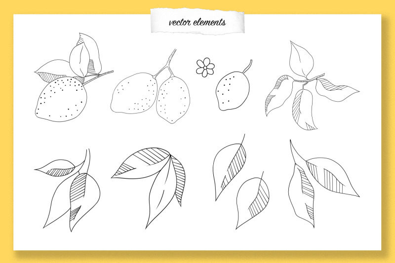 summer-lemons-set-of-vector-graphics-ai-eps10-jpeg