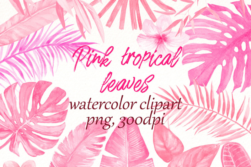pink-tropical-leaves-exotic-flowers-png-clipart-bundle