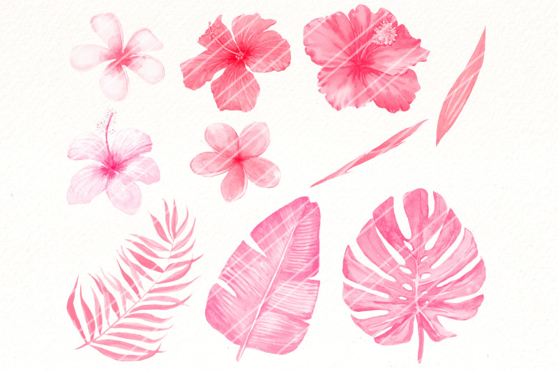 pink-tropical-leaves-exotic-flowers-png-clipart-bundle