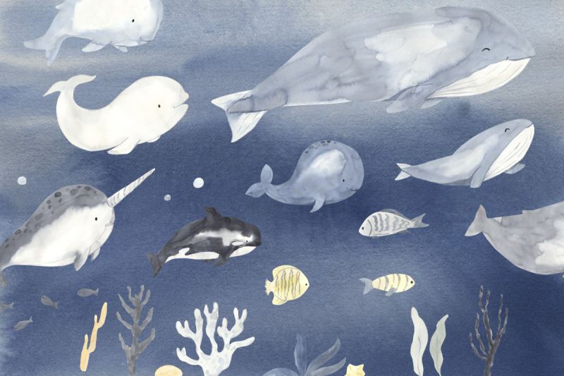 whales-watercolor-clipart
