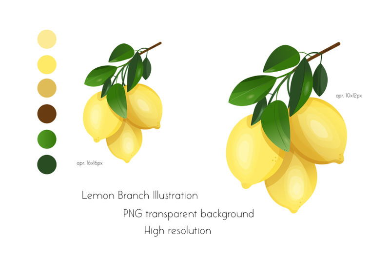 lemon-branch-illustration
