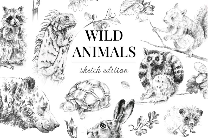 wild-animals-sketch-edition-22-png-pics