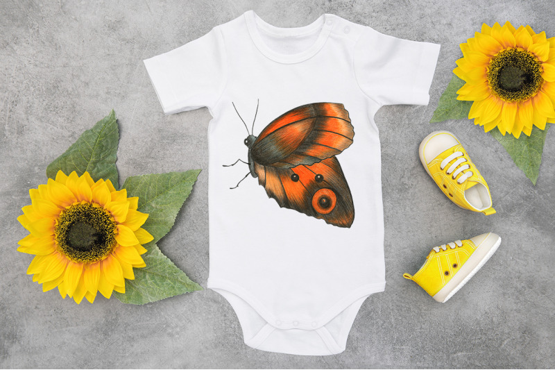 butterfly-sublimation-png-design